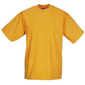 Russell J180M - Classic super continuous warp yarn T-shirt